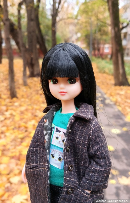 Осенние прогулки — Азиатские виниловые куклы (разное): Китай