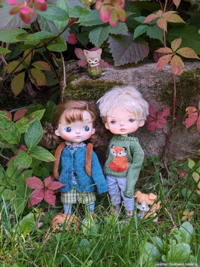 Осенние прогулки — Азиатские виниловые куклы (разное): Китай (фото 4)