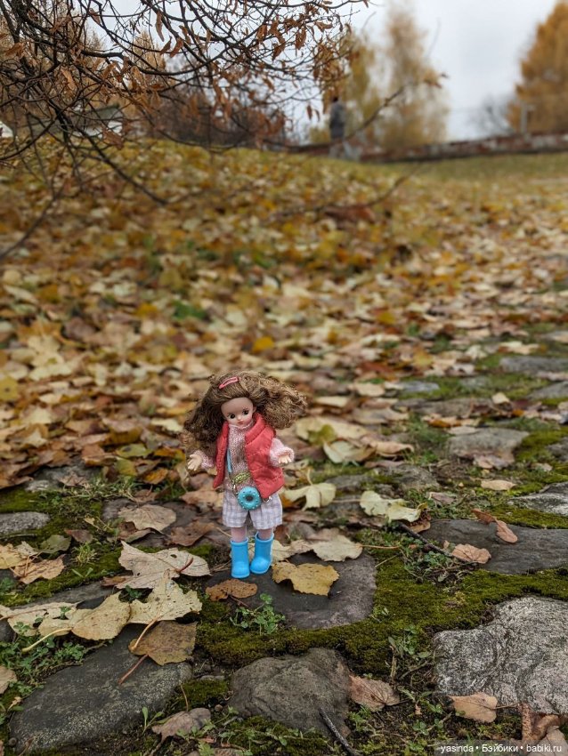 Осенние прогулки — Азиатские виниловые куклы (разное): Китай