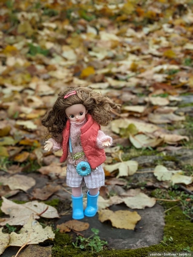Осенние прогулки — Азиатские виниловые куклы (разное): Китай