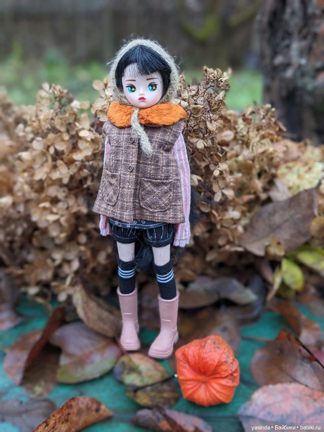 Осенние прогулки — Азиатские виниловые куклы (разное): Китай (фото 8)