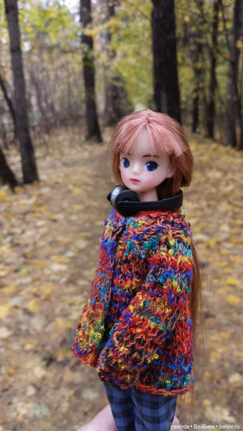 Осенние прогулки — Азиатские виниловые куклы (разное): Китай