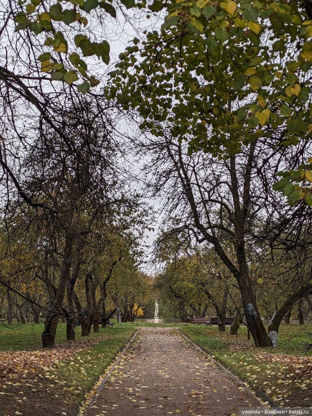 Осенние прогулки — Азиатские виниловые куклы (разное): Китай