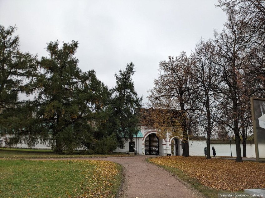 Осенние прогулки — Азиатские виниловые куклы (разное): Китай