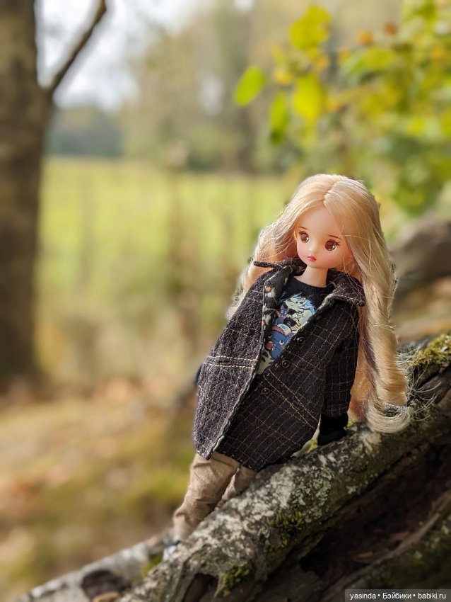 Осенние прогулки — Азиатские виниловые куклы (разное): Китай