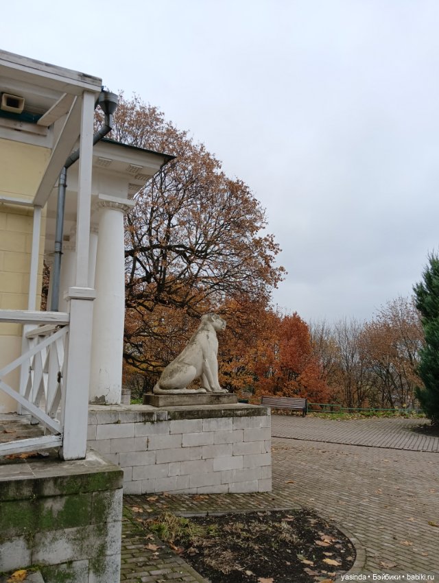 Осенние прогулки — Азиатские виниловые куклы (разное): Китай