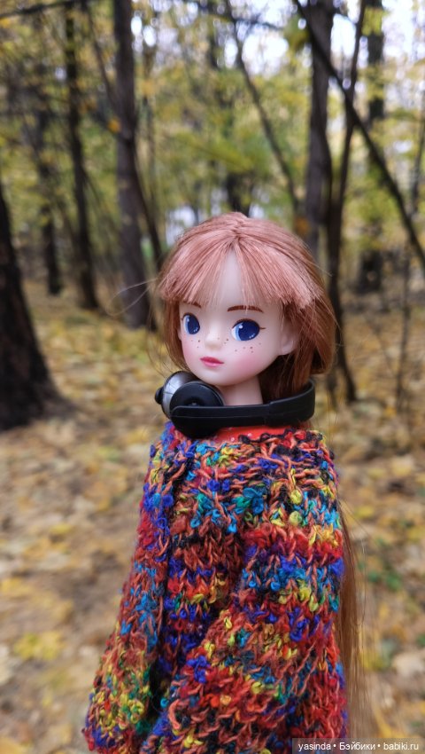 Осенние прогулки — Азиатские виниловые куклы (разное): Китай