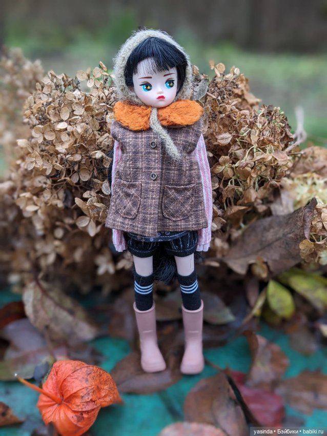 Осенние прогулки — Азиатские виниловые куклы (разное): Китай (фото 9)