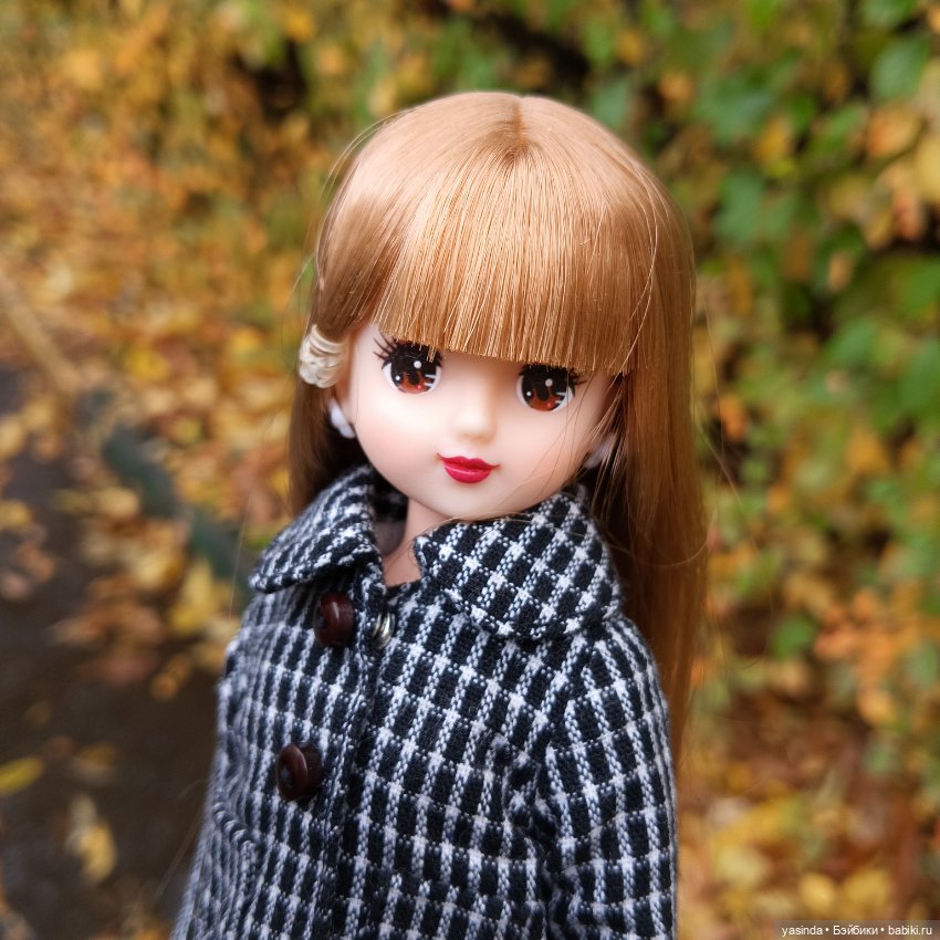 Осенние прогулки — Азиатские виниловые куклы (разное): Китай