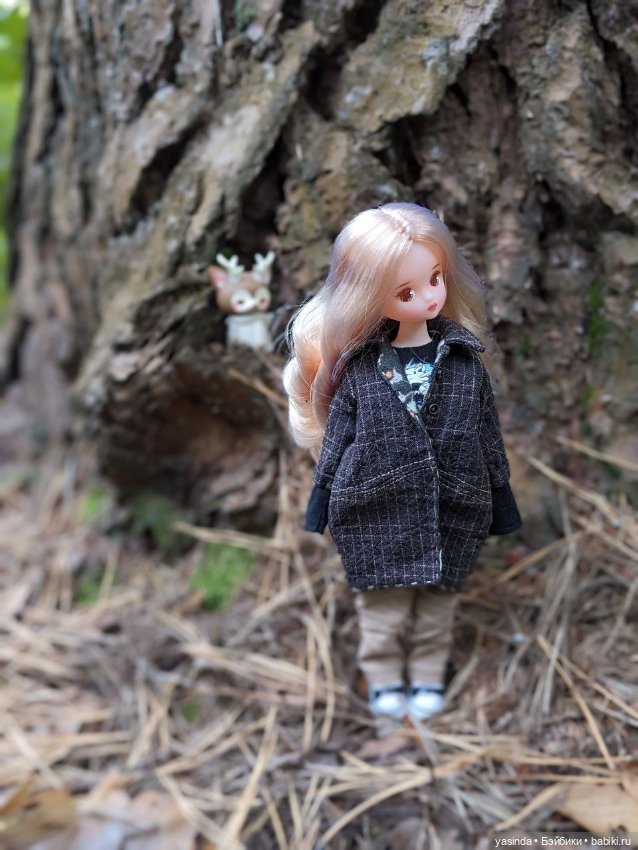 Осенние прогулки — Азиатские виниловые куклы (разное): Китай