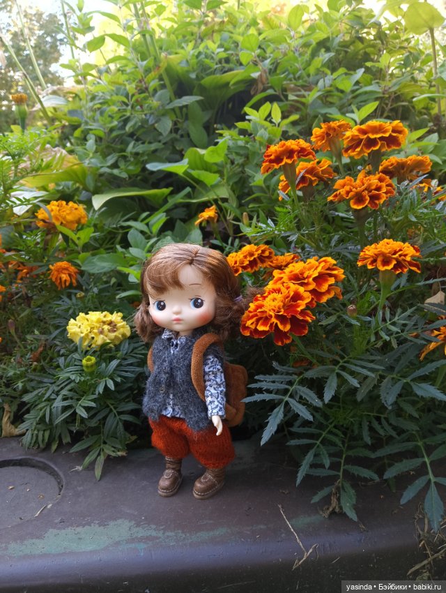 Осенние прогулки — Азиатские виниловые куклы (разное): Китай