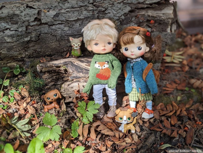 Осенние прогулки — Азиатские виниловые куклы (разное): Китай (фото 5)