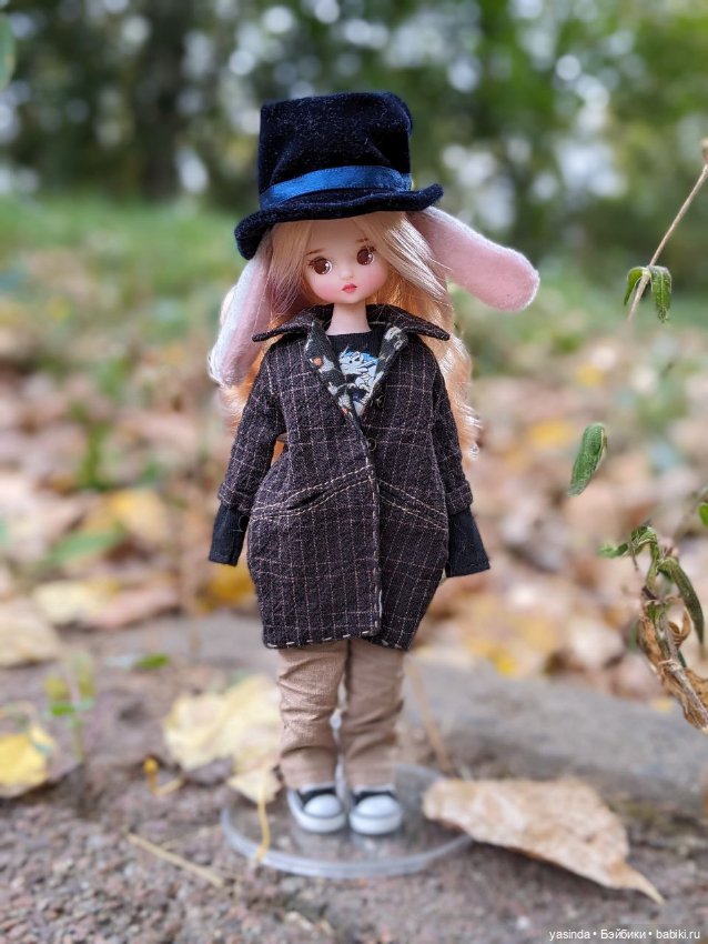 Осенние прогулки — Азиатские виниловые куклы (разное): Китай
