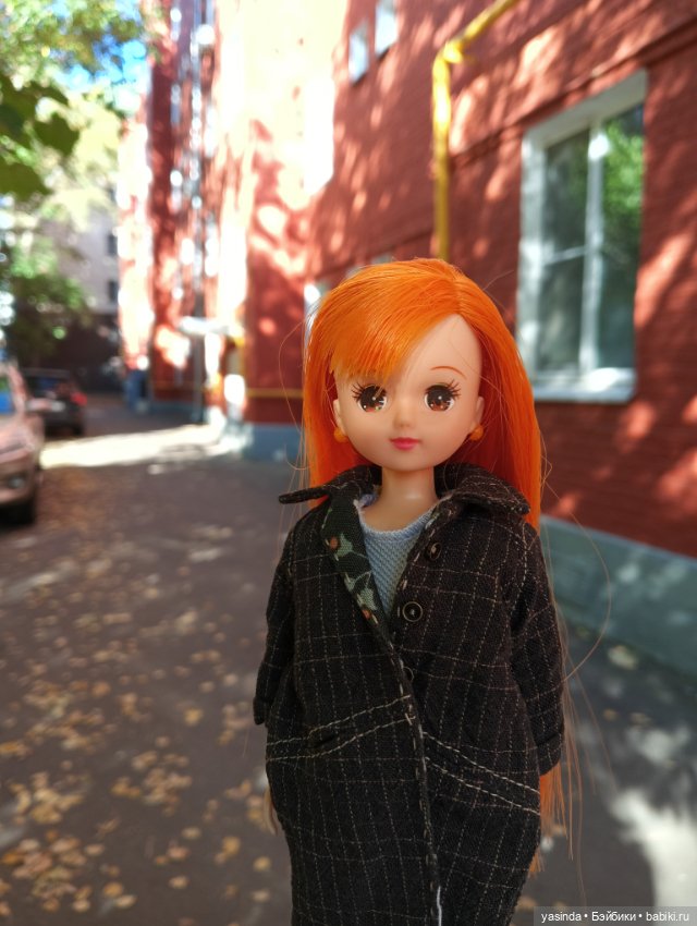 Осенние прогулки — Азиатские виниловые куклы (разное): Китай (фото 10)