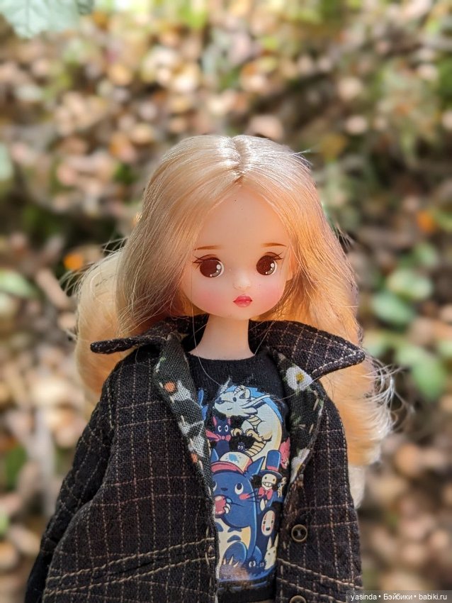 Осенние прогулки — Азиатские виниловые куклы (разное): Китай