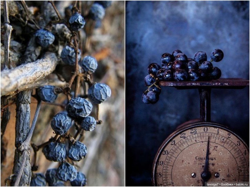 Индиго ноябрь — Культура (фото 10)