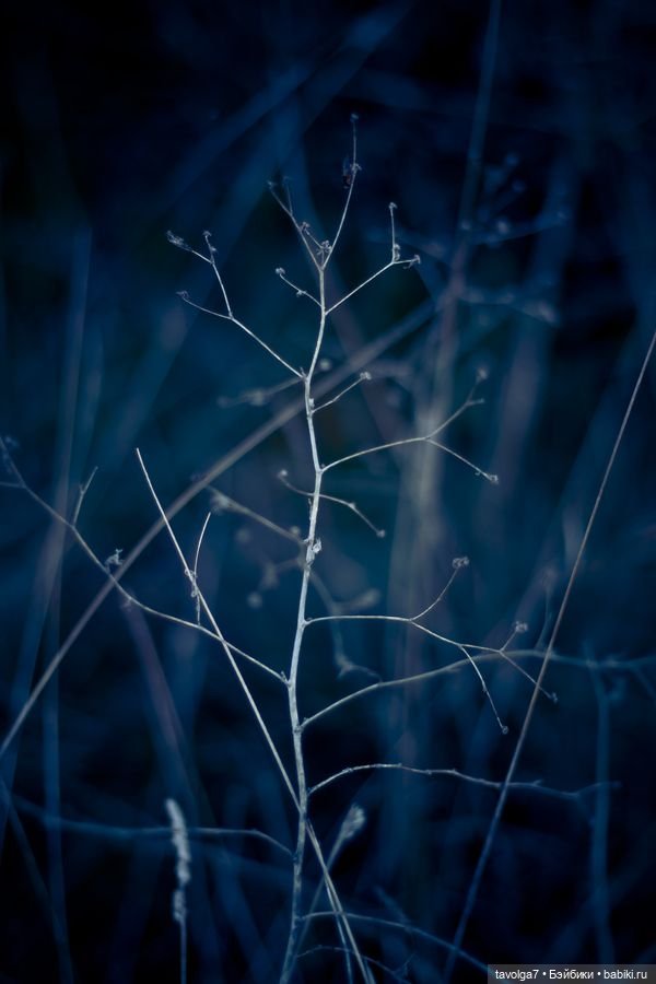 Индиго ноябрь — Культура (фото 8)