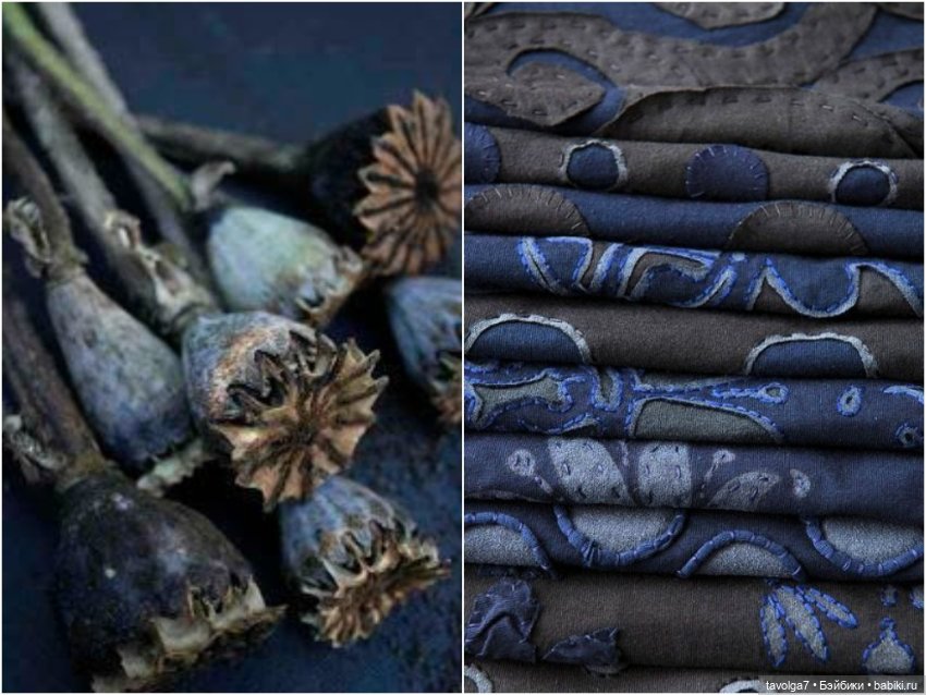 Индиго ноябрь — Культура