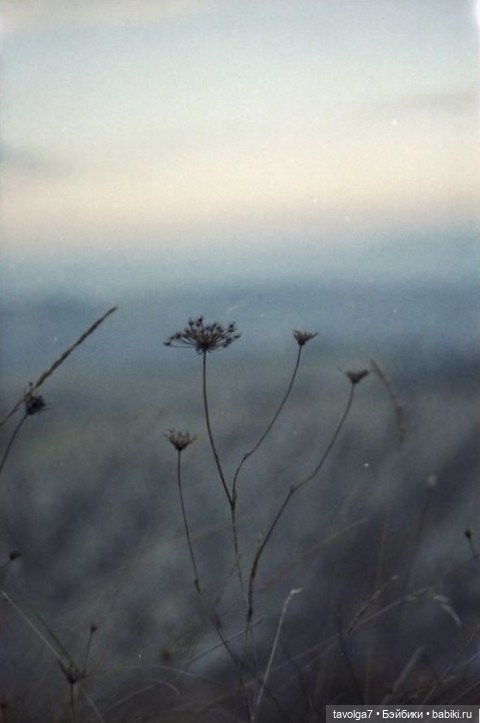 Индиго ноябрь — Культура (фото 3)