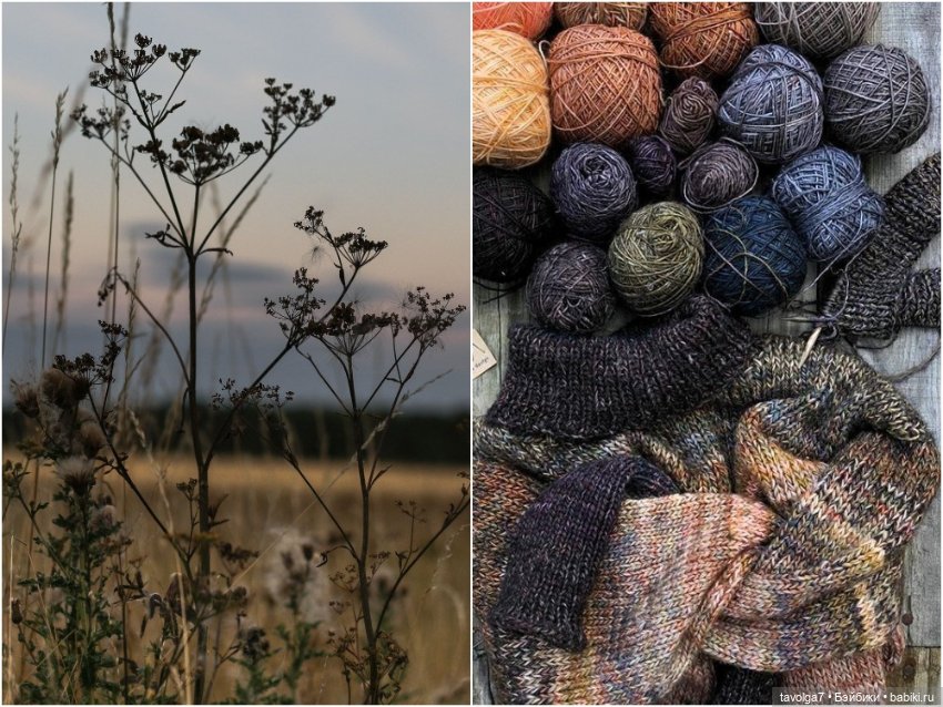 Индиго ноябрь — Культура