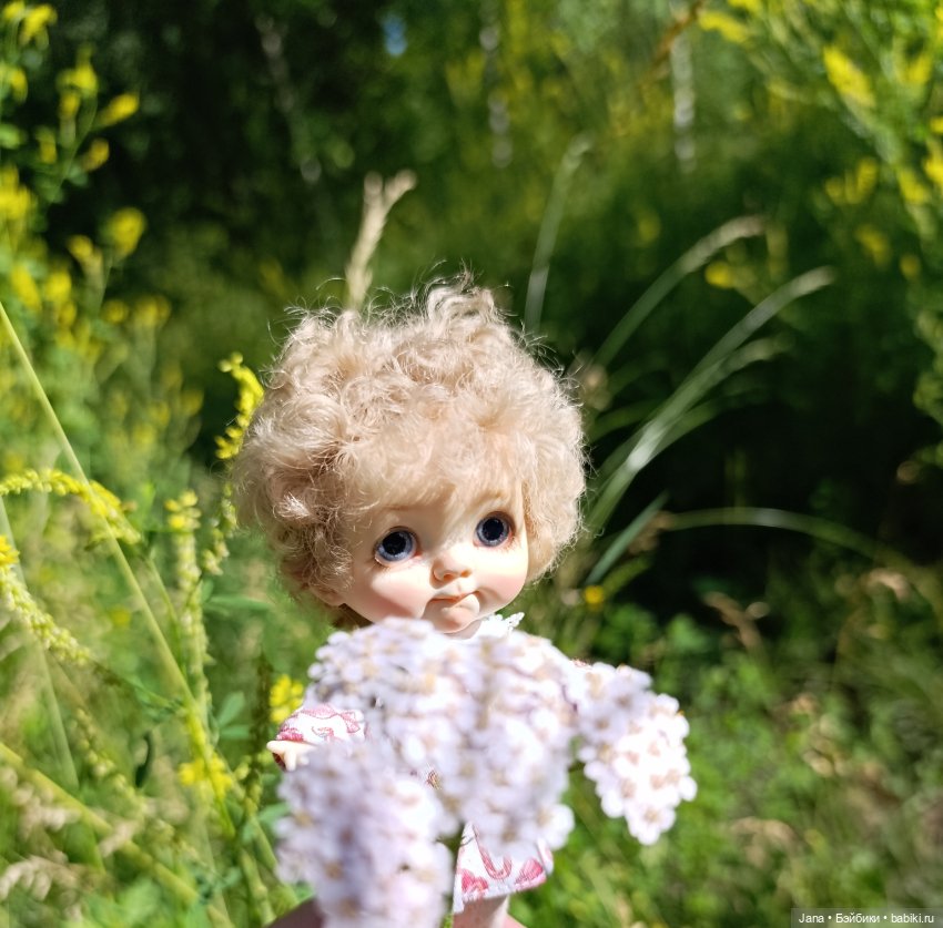 Летние прогулки — Куклы и тела Obitsu 11 (Ob11): гибриды
