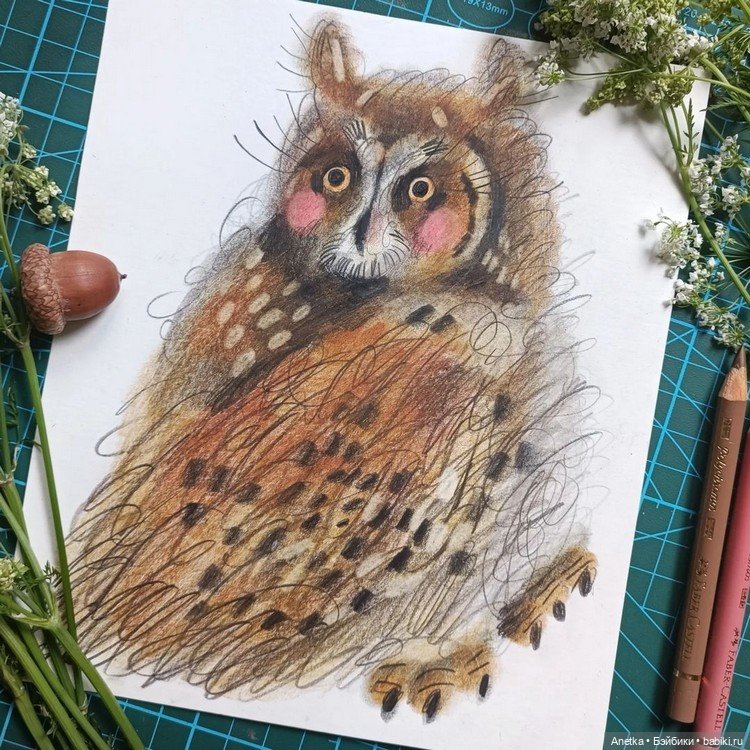 Иллюстрации Марии Маргевич (фото 6)