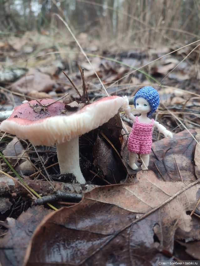Крошка малышка в грибном лесу