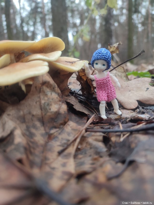 Крошка малышка в грибном лесу (фото 9)
