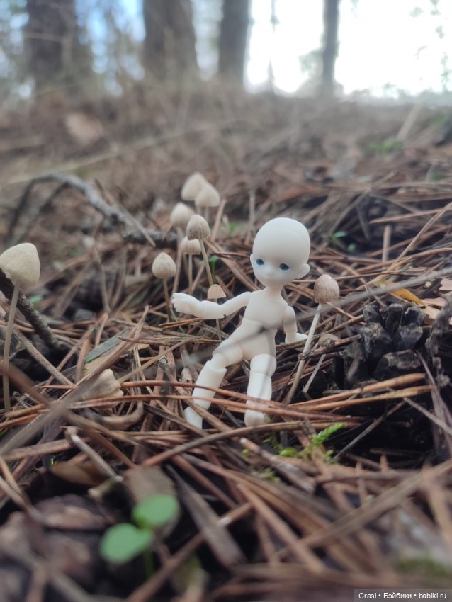 Крошка малышка в грибном лесу (фото 4)