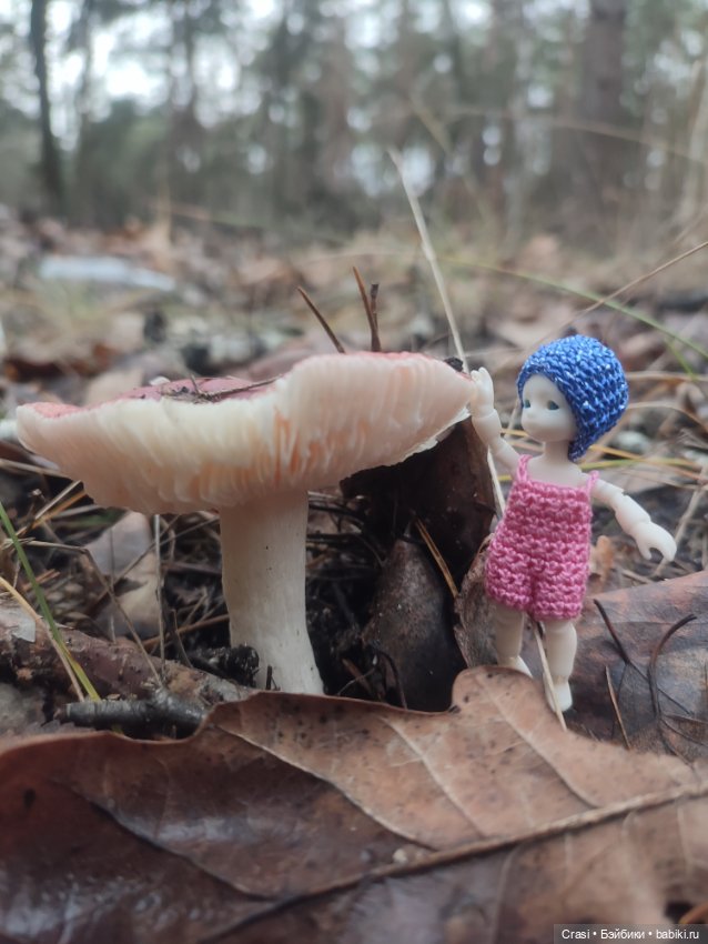 Крошка малышка в грибном лесу (фото 10)