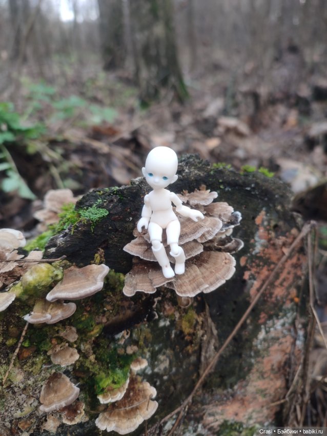 Крошка малышка в грибном лесу (фото 2)