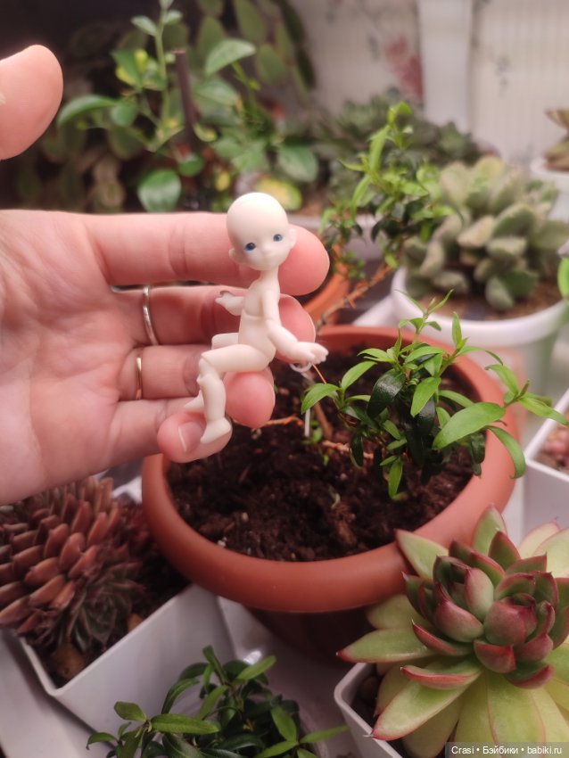 Крошка малышка в грибном лесу (фото 6)