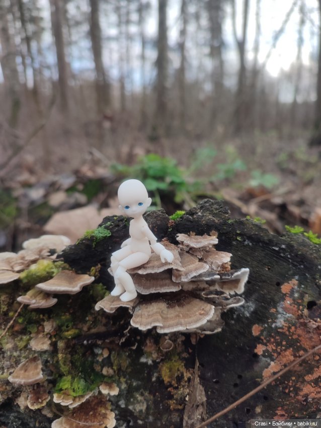 Крошка малышка в грибном лесу