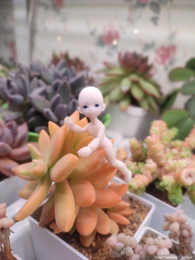 Крошка малышка в грибном лесу (фото 7)