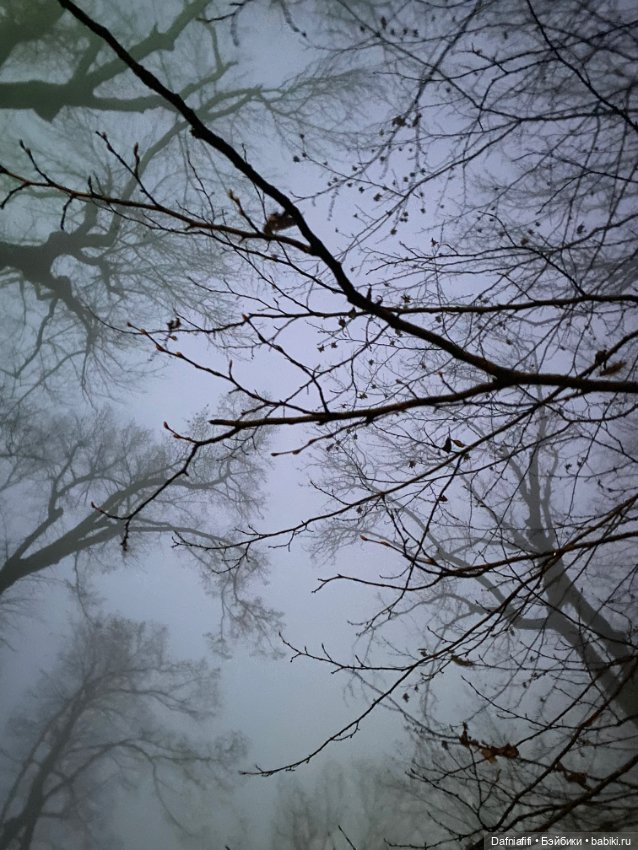 Azone Old Sahra Maya — Куклы Azone (Азон) и тела Pure Neemo: фото