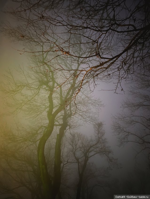 Azone Old Sahra Maya — Куклы Azone (Азон) и тела Pure Neemo: фото