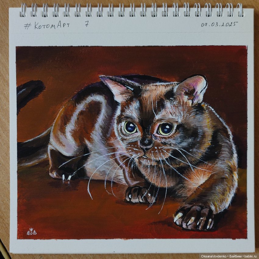 Котики форева — Рисование и арт: скетчи (фото 6)