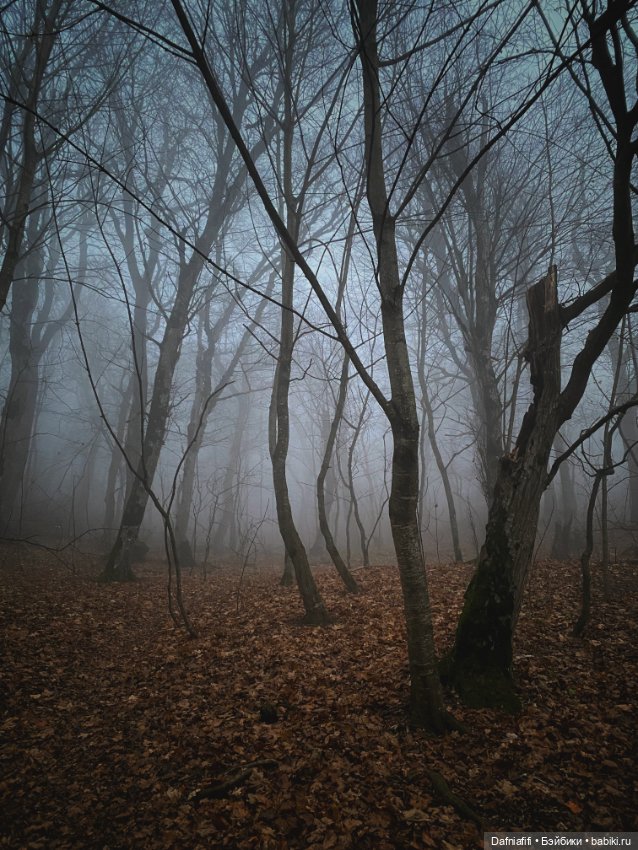 Azone Old Sahra Maya — Куклы Azone (Азон) и тела Pure Neemo: фото