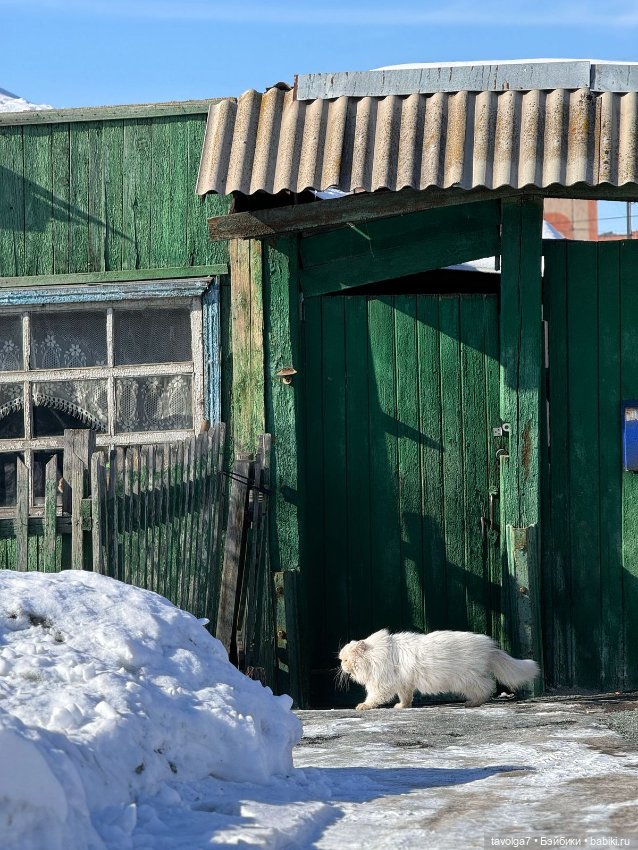 Декабрь в России уют — Культура