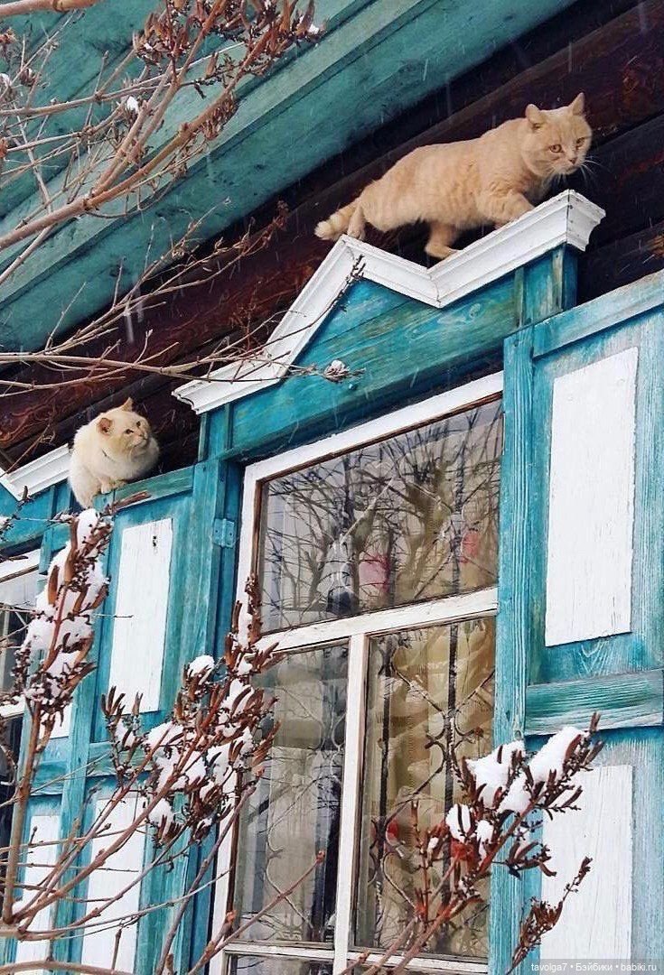 Декабрь в России уют — Культура