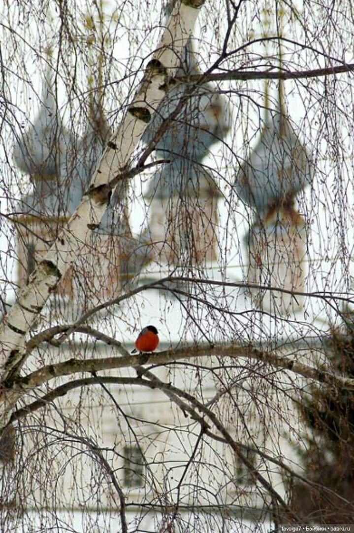 Декабрь в России уют — Культура (фото 5)