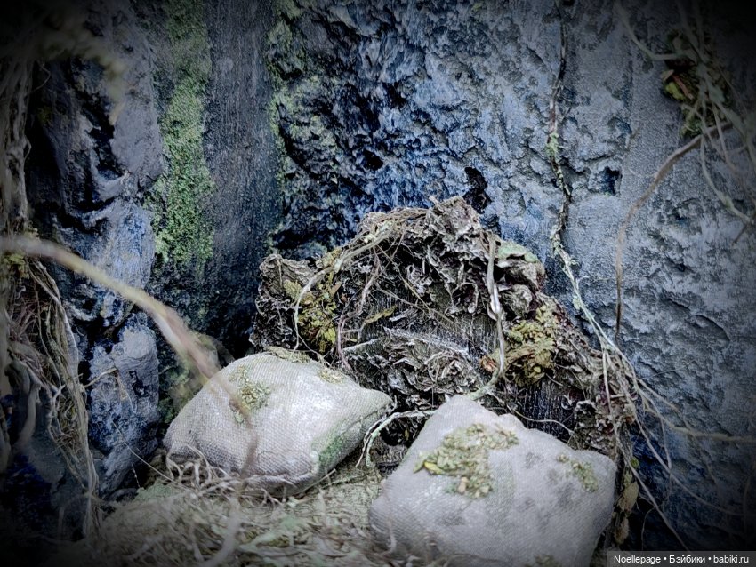 Миниатюрная спящая, красавица (фото 10)