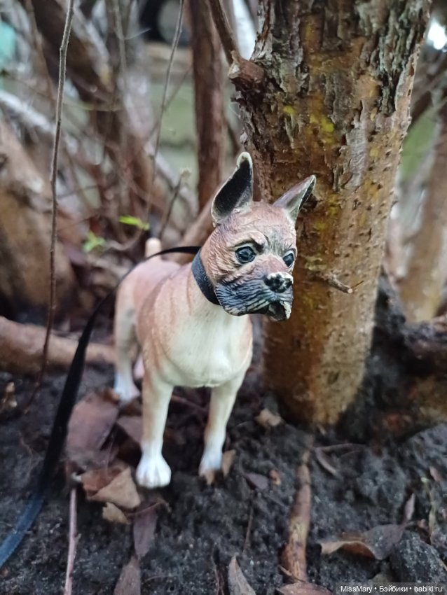 В такую погоду хороший хозяин... Или лучший друг человека в формате 1:6