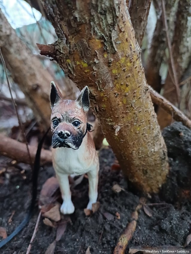 В такую погоду хороший хозяин... Или лучший друг человека в формате 1:6