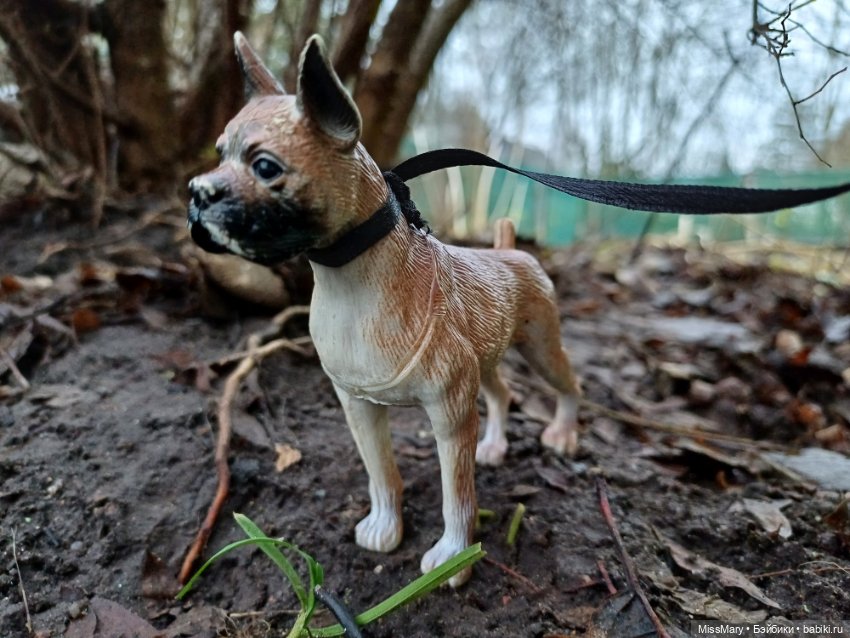 В такую погоду хороший хозяин... Или лучший друг человека в формате 1:6