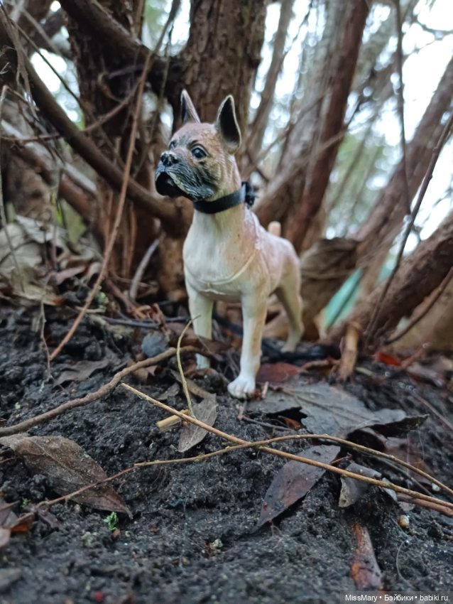 В такую погоду хороший хозяин... Или лучший друг человека в формате 1:6