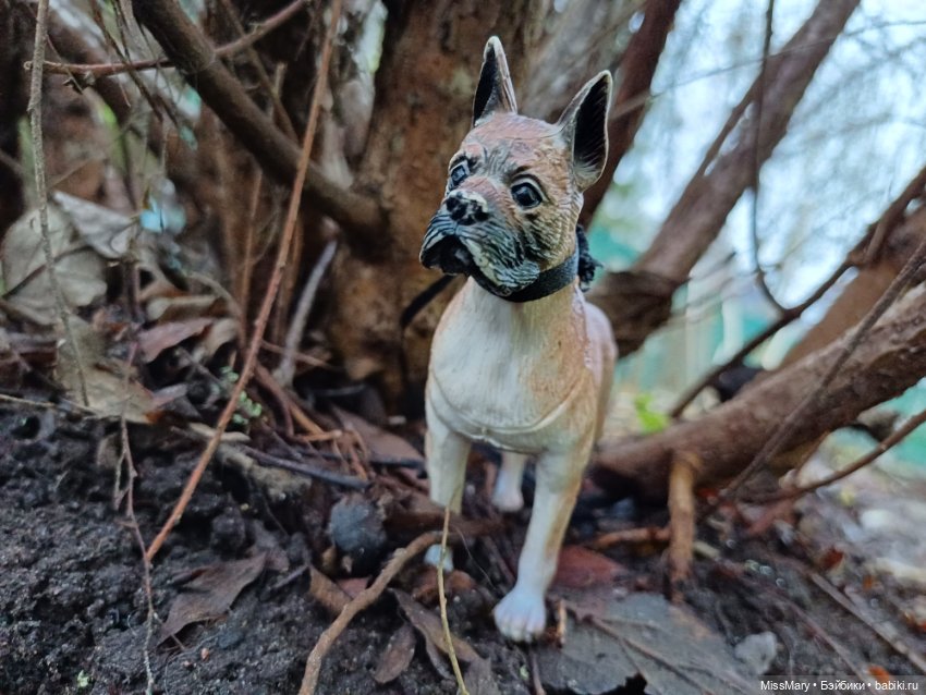 В такую погоду хороший хозяин... Или лучший друг человека в формате 1:6