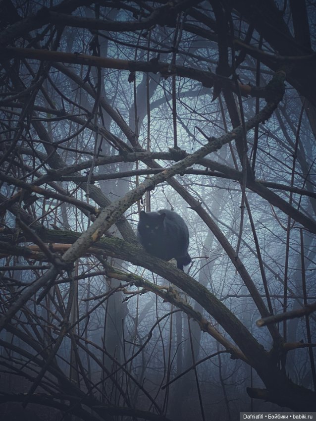 Susie Big Eyes — Игровые куклы разных производителей (Разное): редкие бренды