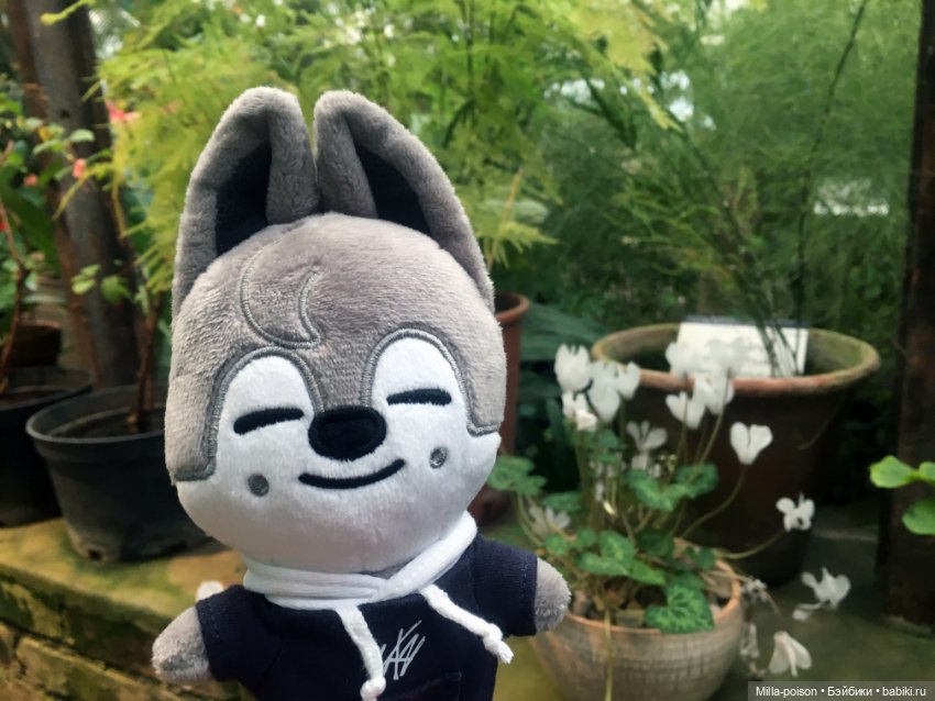 Wolf Chan — Интересные игрушки и фигурки (разное): редкие