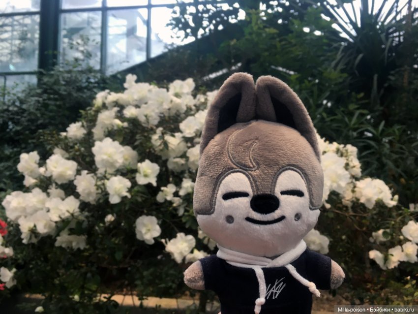 Wolf Chan — Интересные игрушки и фигурки (разное): редкие